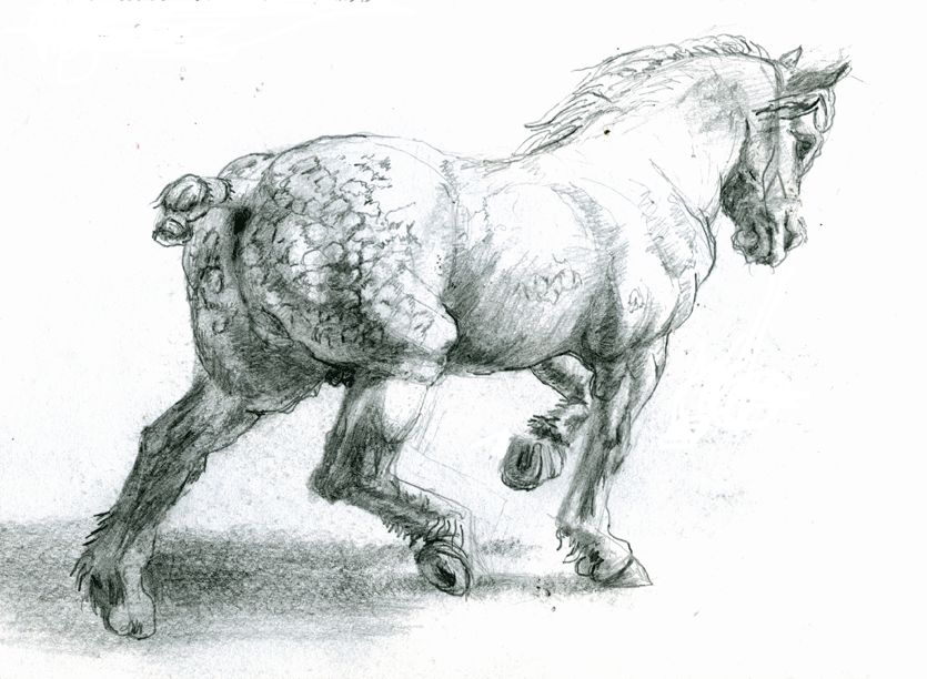 835x612 Drawing Horses Mark Koslow - Draft Horse Sketch