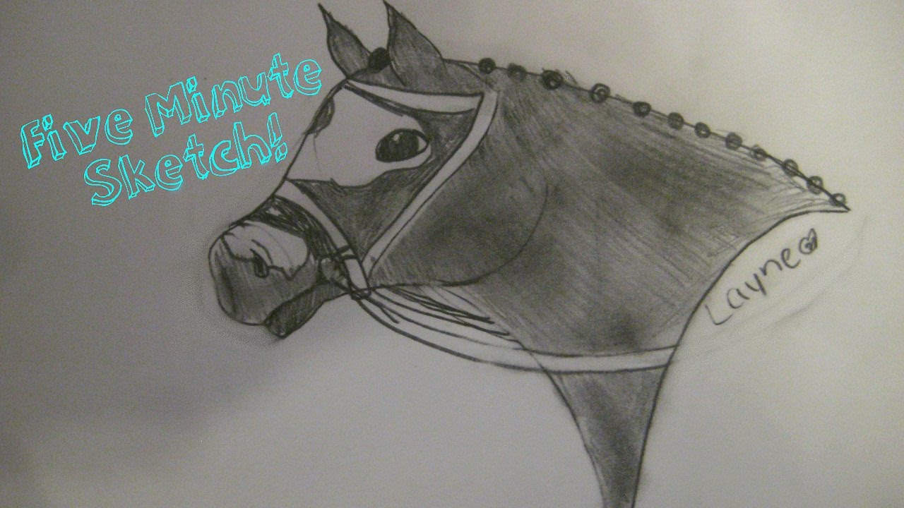 1280x720 Five Minute Arabiandraft Horse Sketch! - Draft Horse Sketch