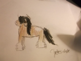 320x240 I Tried To Draw A Clydesdale. I Never Drew A Draft Horse Before - Draft Horse Sketch