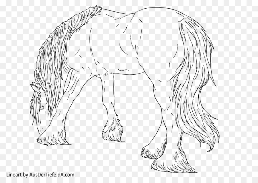 900x640 Mustang Pony Arabian Horse Draft Horse Drawing - Draft Horse Sketch