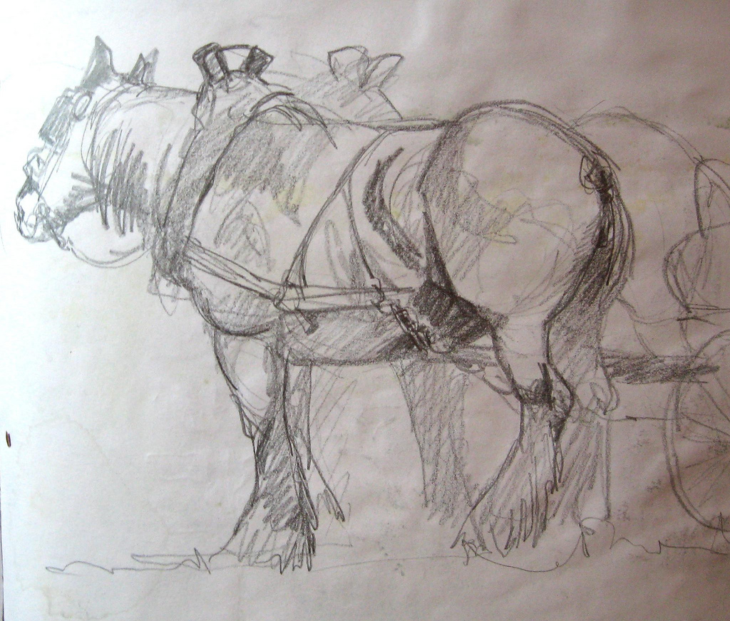 1024x872 Draft Horse Sketch From Sketchbook 2008 Draft Horse Show Maike - Draft Horse Sketch