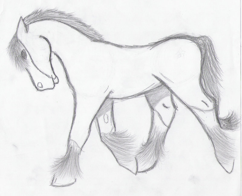 800x649 Draft Horse Sketch. By Xbloodandtearsx - Draft Horse Sketch
