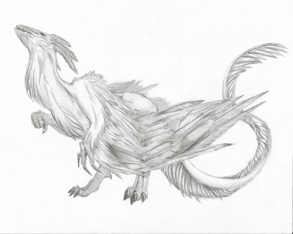 1024x816 Feathered Dragon Sketch - Dragon Art Sketch