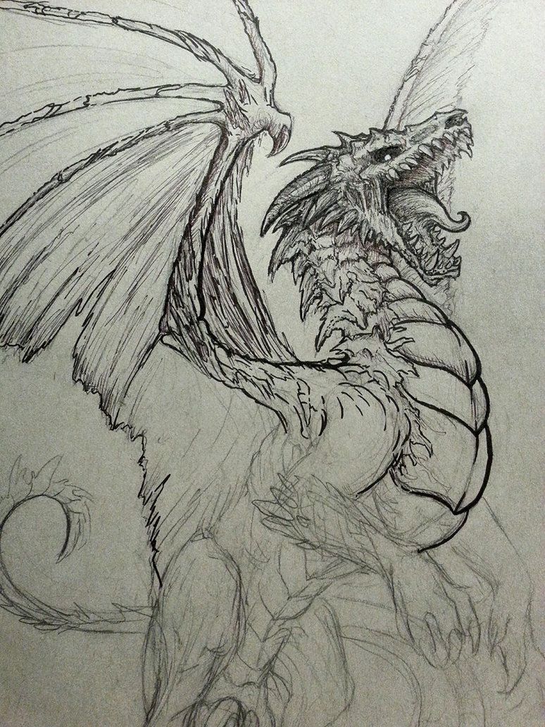 774x1032 Here In Denver I Help Run A Group Called The Denver Illustration - Dragon Art Sketch
