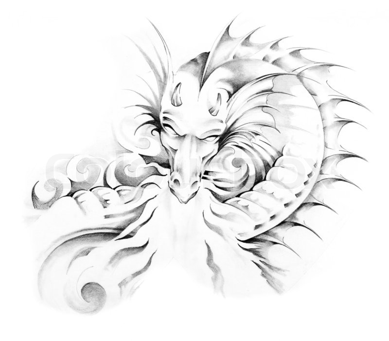 800x701 Sketch Of Tattoo Art, Dragon Stock Photo Colourbox - Dragon Art Sketch