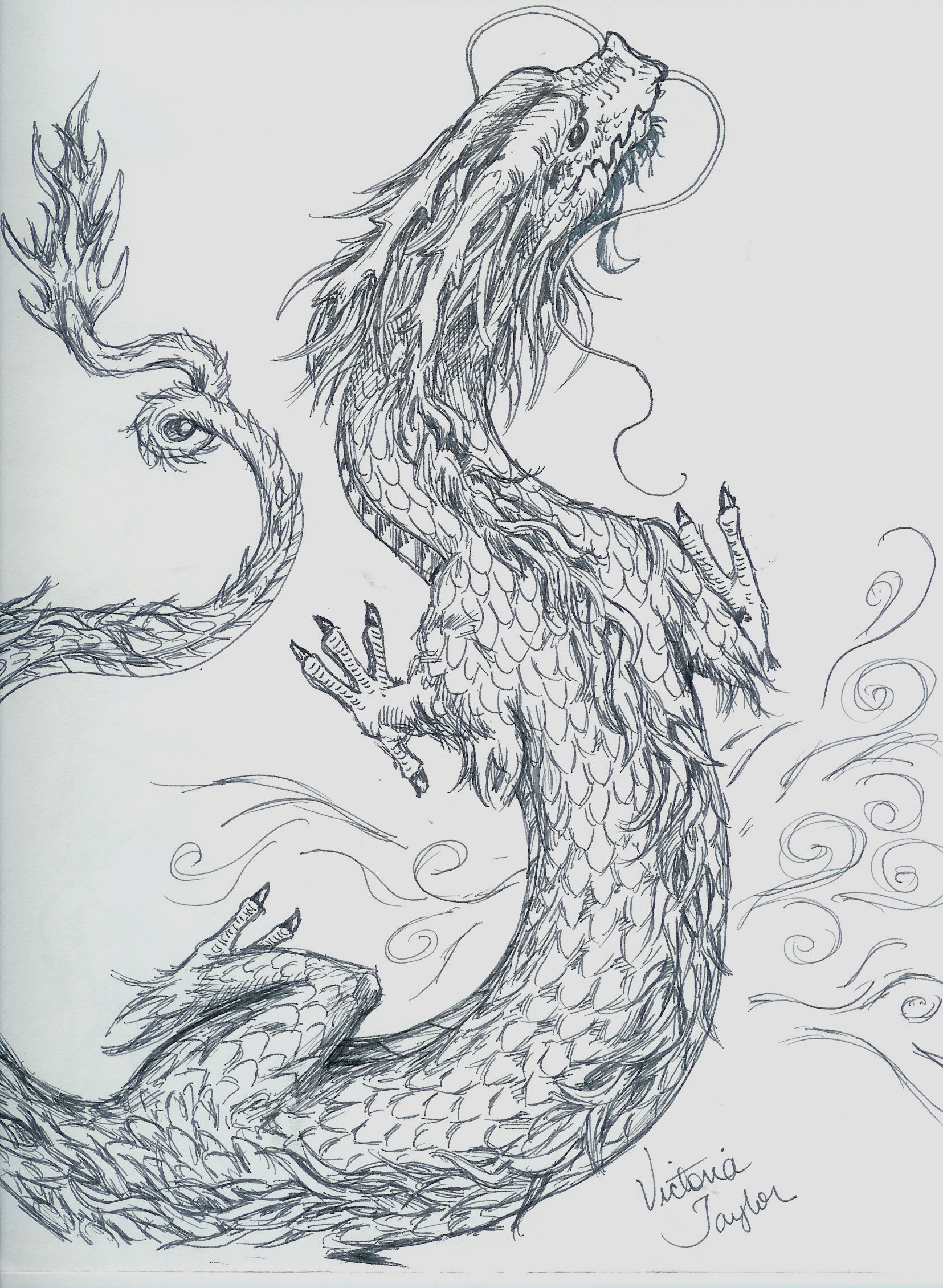 1655x2259 Dragon Drawings Chinese Dragon Sketch By Dragonspark Traditional - Dragon Art Sketch