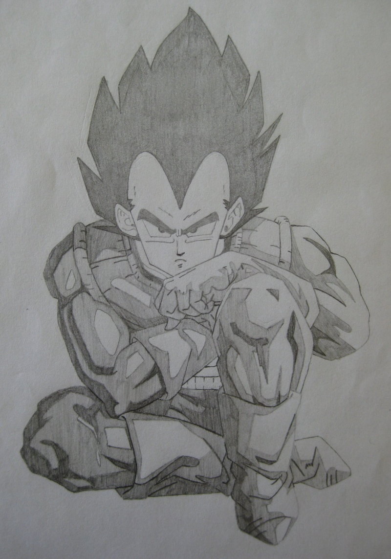800x1143 Dragon Ball Z Vegeta Sketch 1 By Esperino - Dragon Ball Z Vegeta Sketch