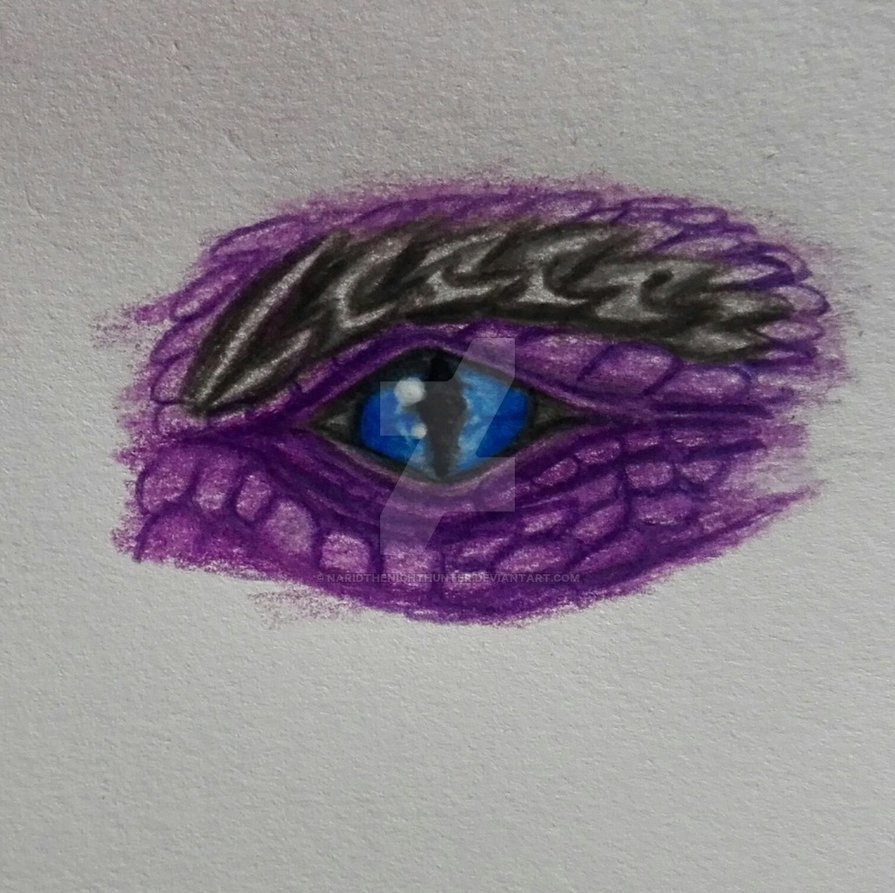 895x893 Dragon Eye Sketch. By Naridthenighthunter - Dragon Eye Sketch