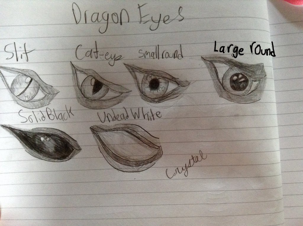 1024x765 Sketches Of Dragon Eyes By Crystalmoongazer - Dragon Eye Sketch