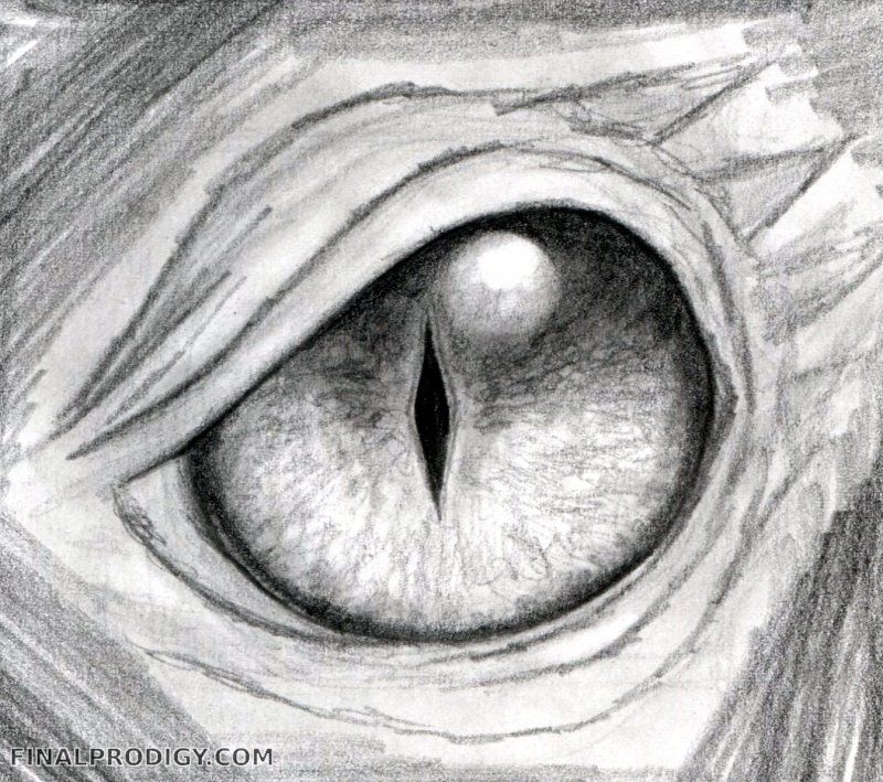 800x709 Dragon Eye Sketch Art Drawings, Dragon Eye And Dragon - Dragon Eye Sketch