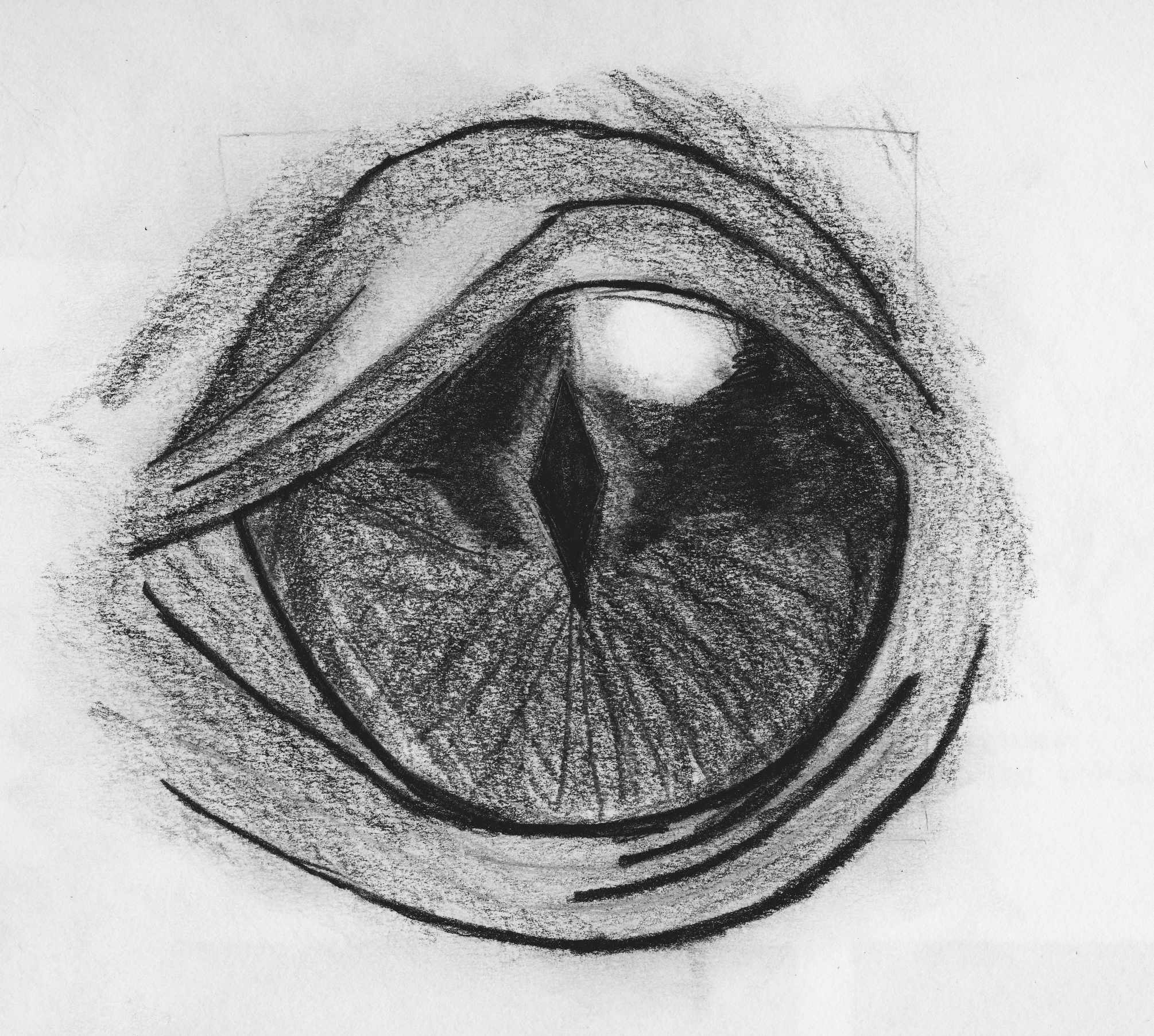 2010x1804 Dragon Eye Sketch Peter Hamblin - Dragon Eye Sketch