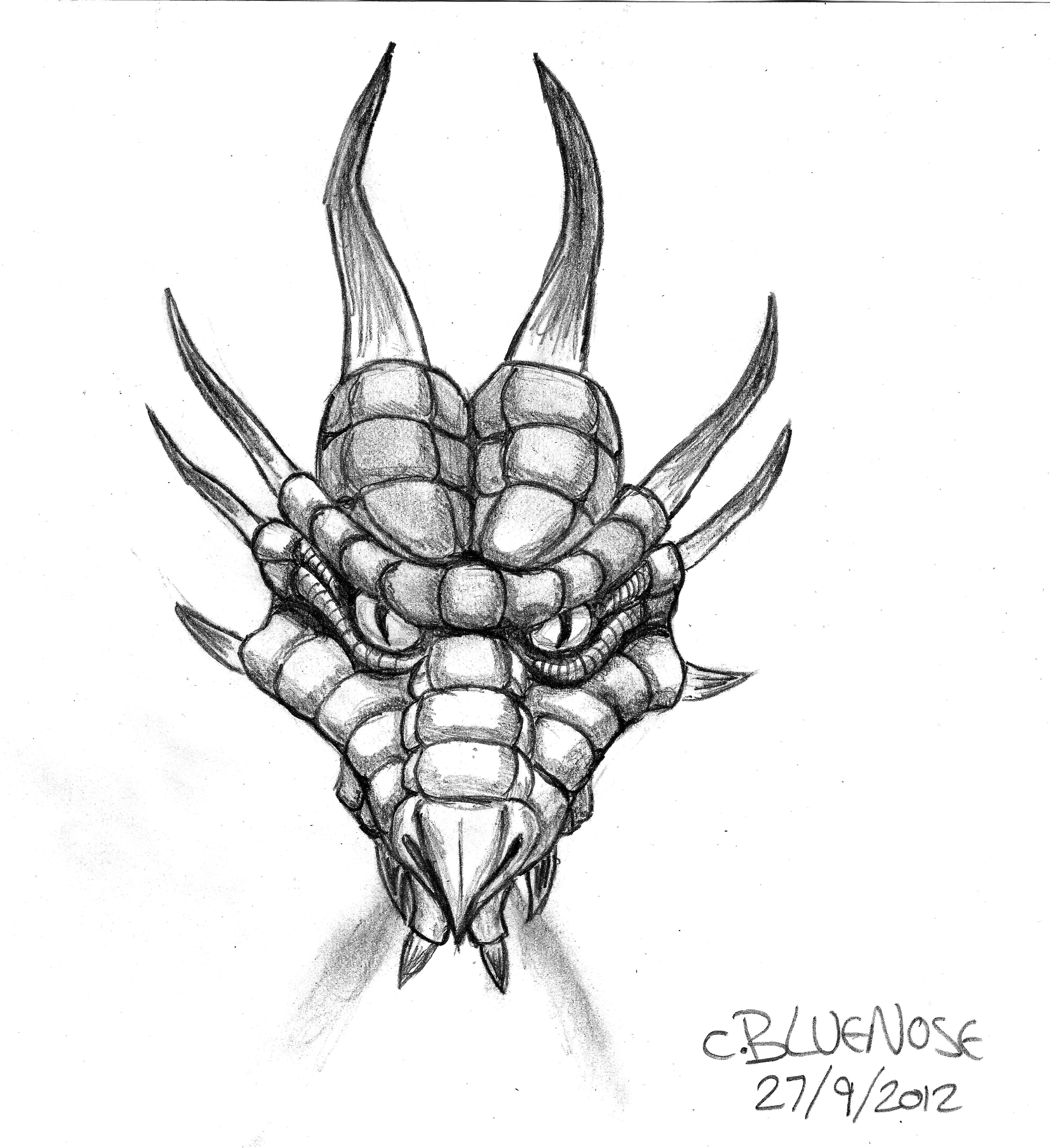 4344x4748 Dragon Head Drawing Front Dragon Face Front View - Dragon Face Sketch