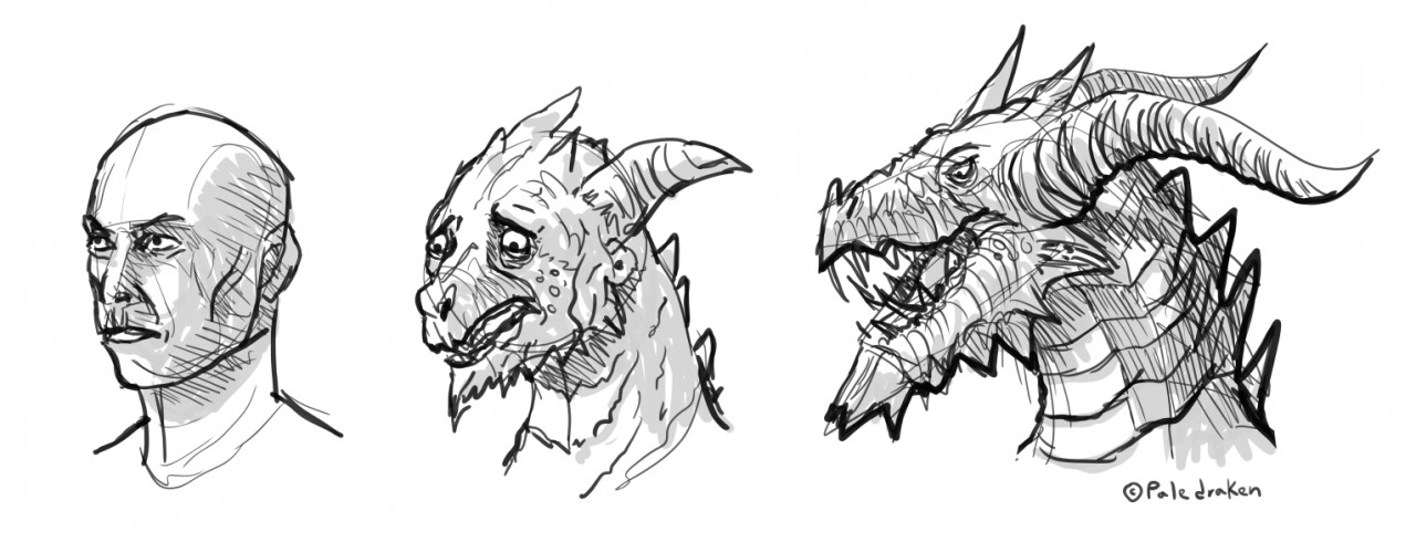 1280x490 Dragon Tf Sequence Sketch(Face Only) By Paledraken - Dragon Face Sketch
