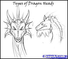 Dragon Face Sketch at PaintingValley.com | Explore collection of Dragon ...