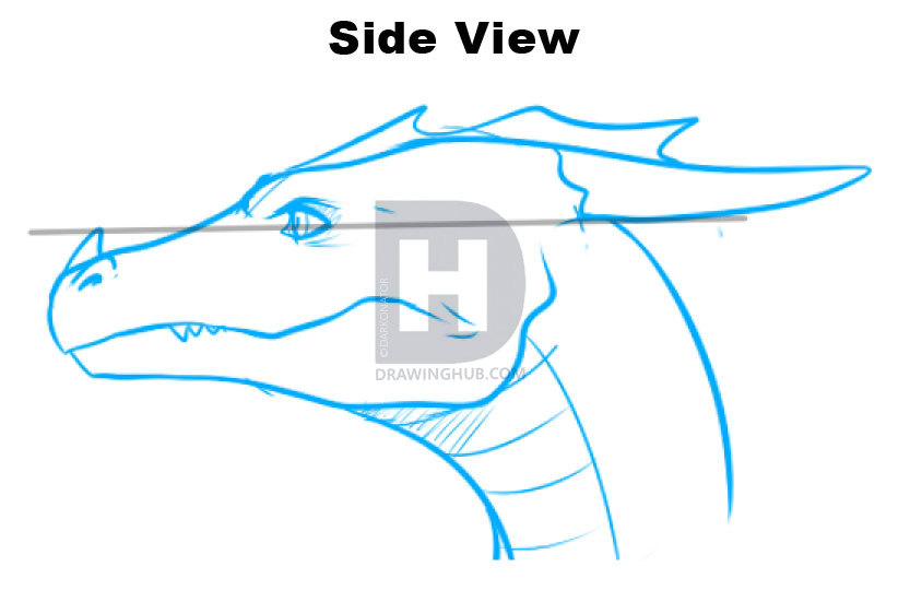 833x551 How To Draw Dragon Heads, Step By Step, Drawing Guide, By - Dragon Face Sketch