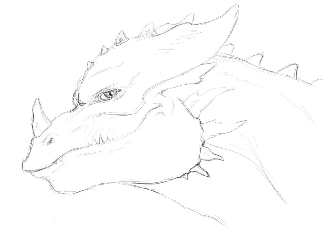 1049x750 Dragon Head Sketch By Fallimar - Dragon Head Sketch