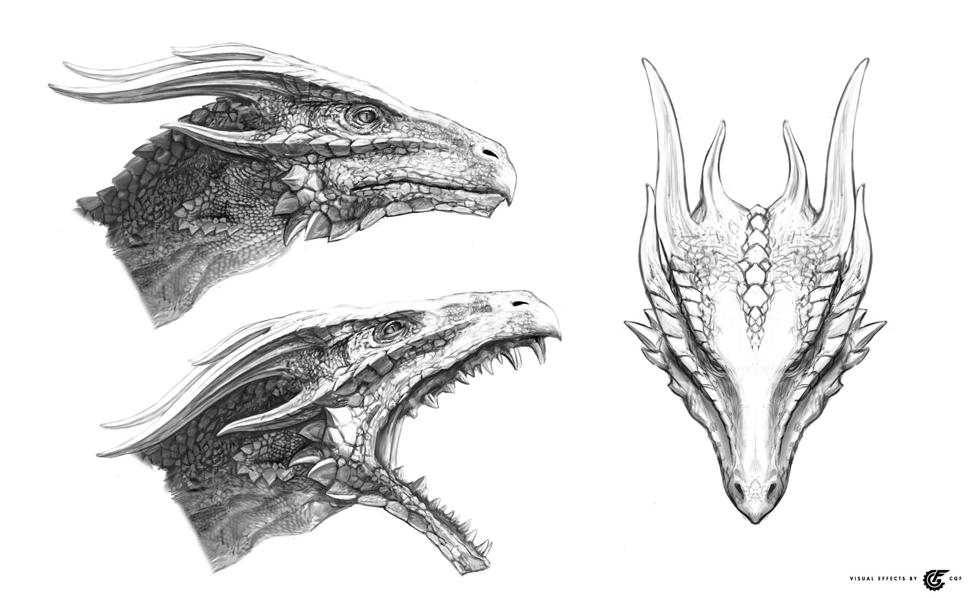 1920x1176 Olga Antonenko - Dragon Head Sketch