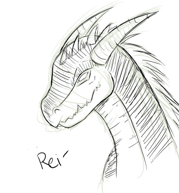 600x647 Sketch Dragon Head By Saoshi Kun - Dragon Head Sketch