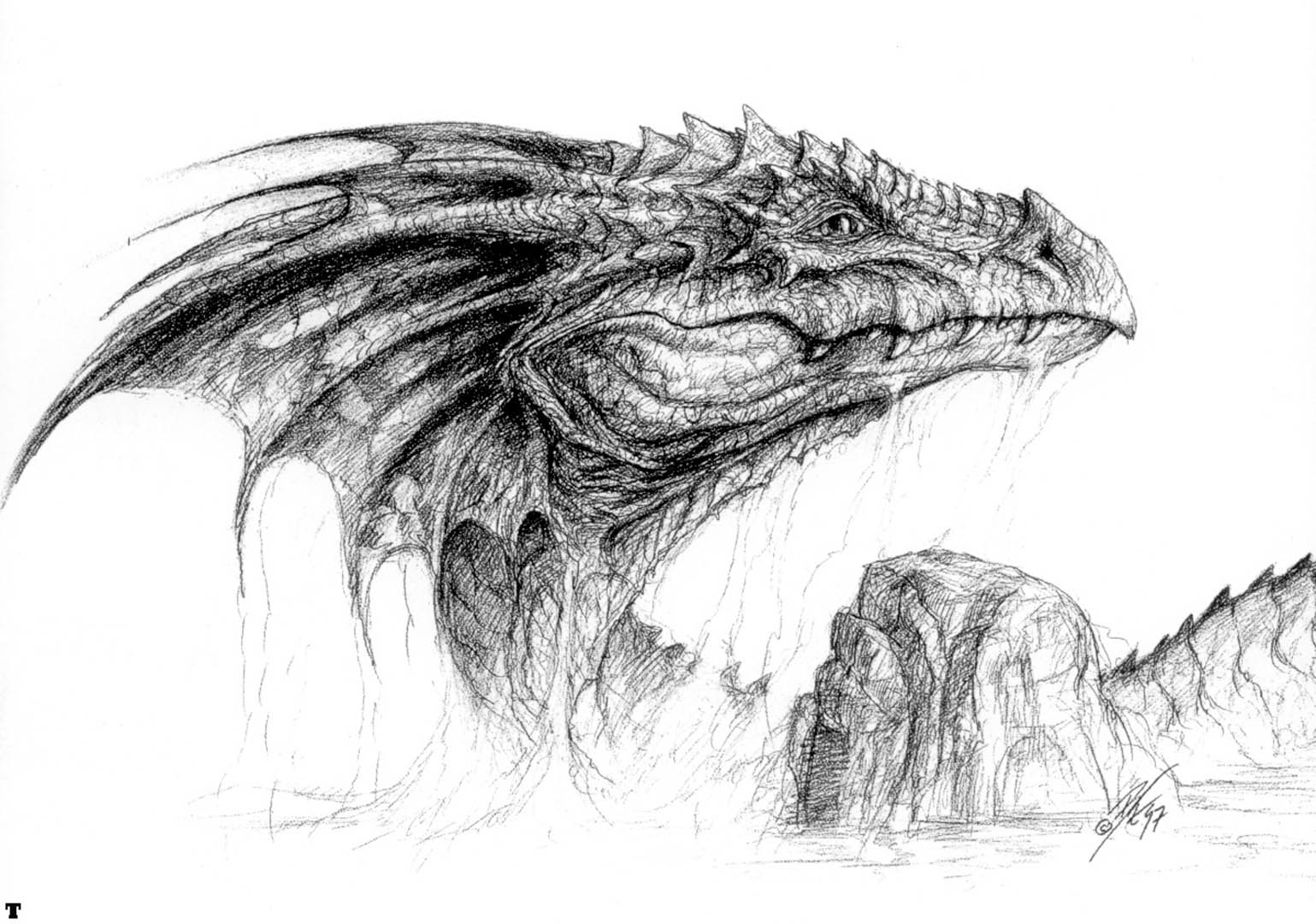 1539x1080 Dragon Head Sketch - Dragon Head Sketch