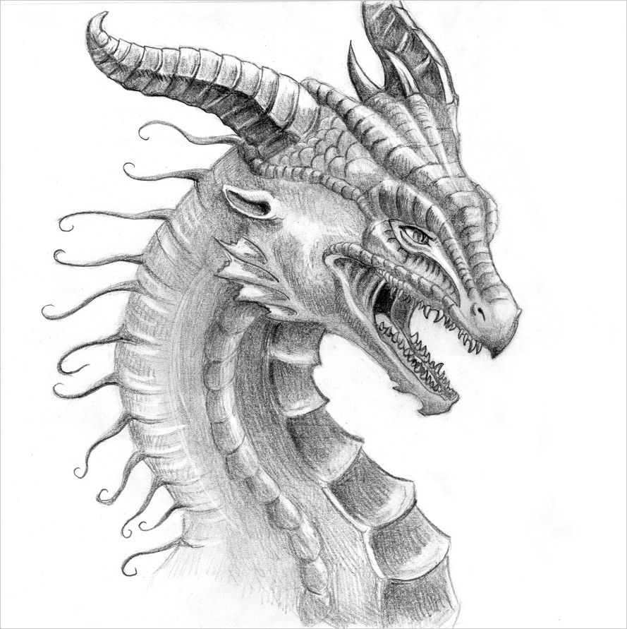 889x891 Dragon Pencil Sketch Images Realistic Dragon Drawings Free - Dragon Pencil Sketch