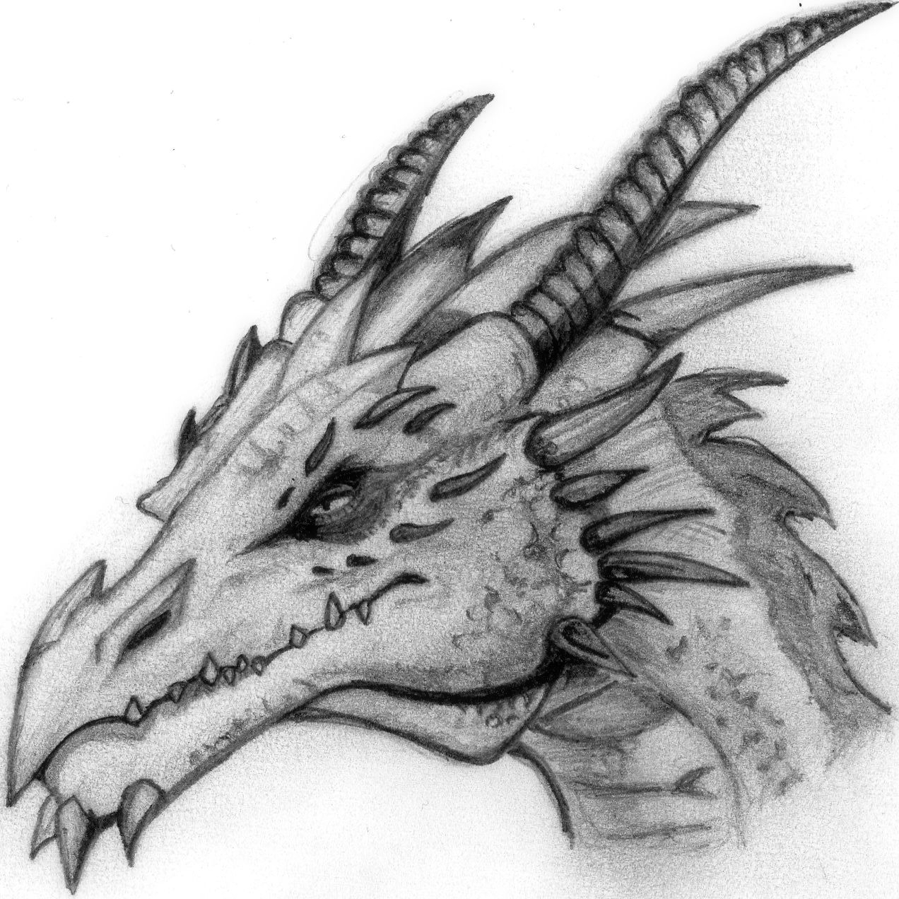 Pencil Drawing Of A Dragon