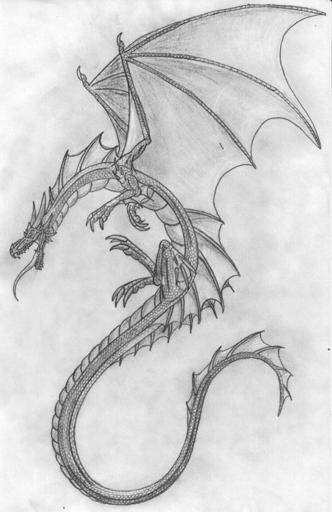 Black and white Dragon drawing