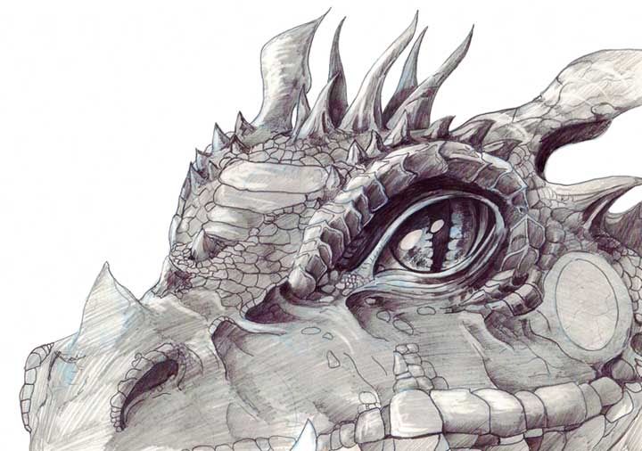 720x506 Pencil Drawings Dragon Heads Pictures Dragon In 2018 - Dragon Pencil Sketch