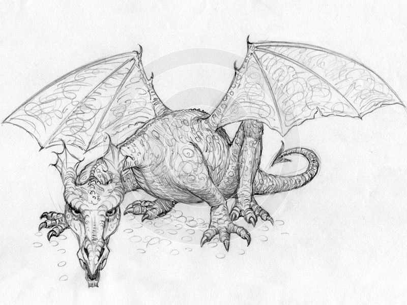 800x600 Dragon Sketch 1 By Tom Connell - Dragon Sketch