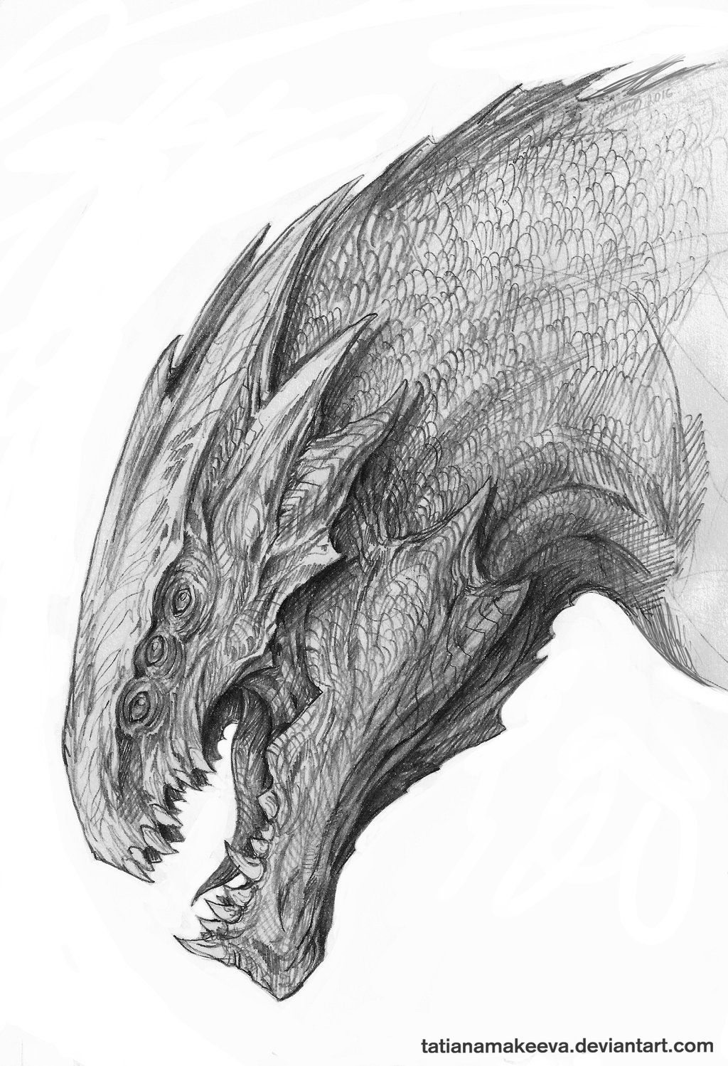 1024x1498 Dragon Sketch - Dragon Sketch