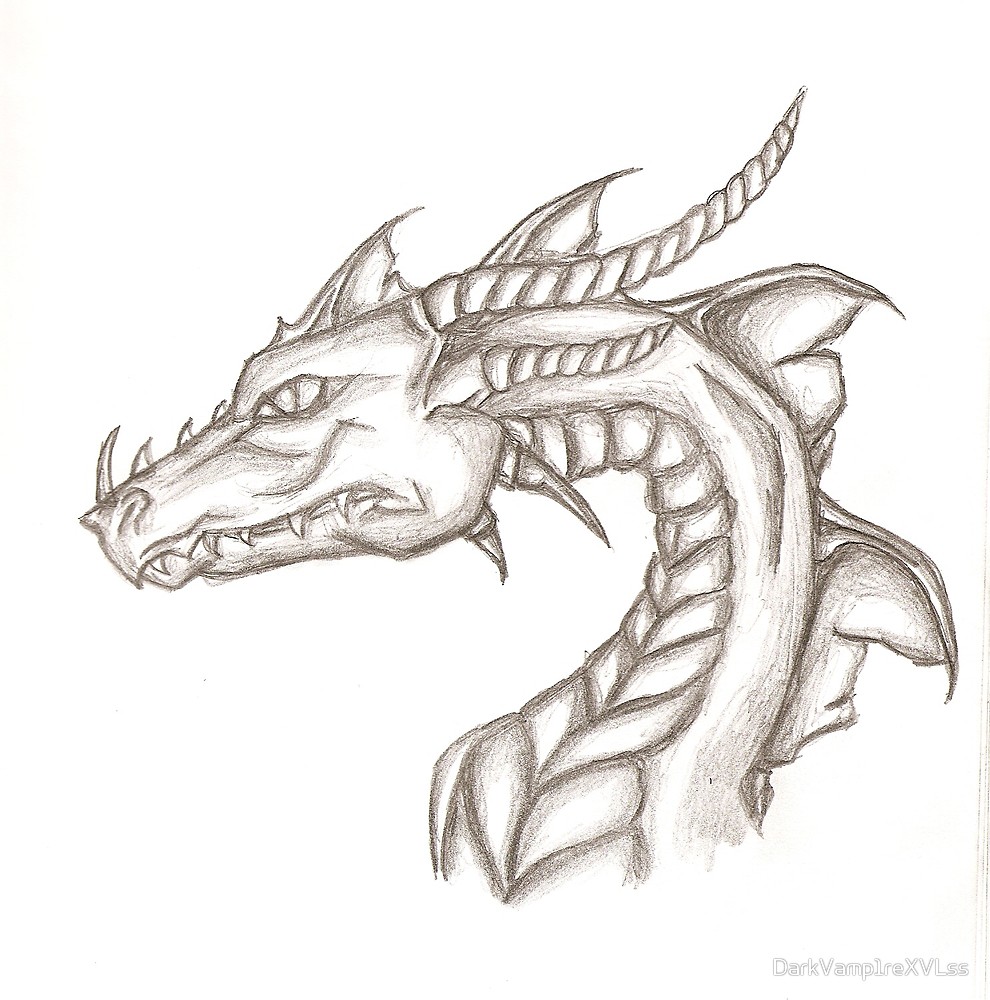 990x1000 Dragon Sketch By Darkvamp1rexvlss Redbubble - Dragon Sketch