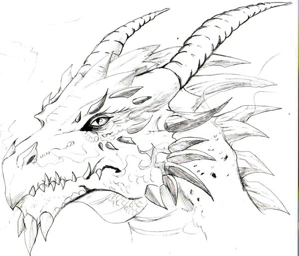 600x513 My 1st Dragon Sketch By Trunks24 - Dragon Sketch