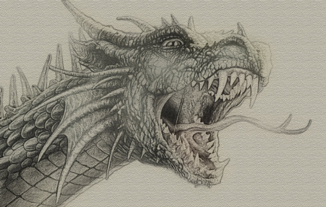 1121x712 Detailed Dragon Sketch By Zapdosify - Dragon Sketch