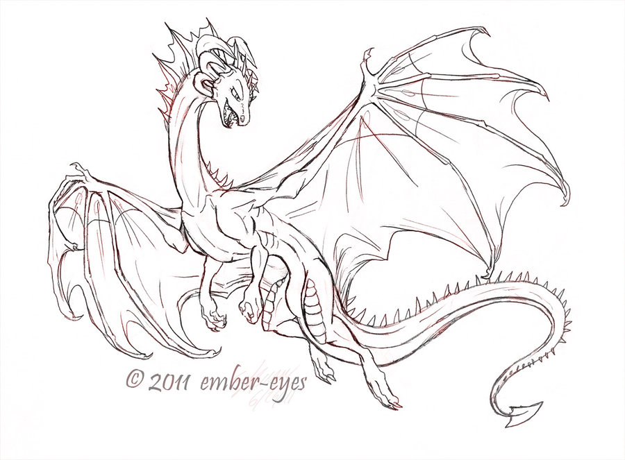 900x663 Western Dragon Sketch By Ember Eyes - Dragon Sketch Art