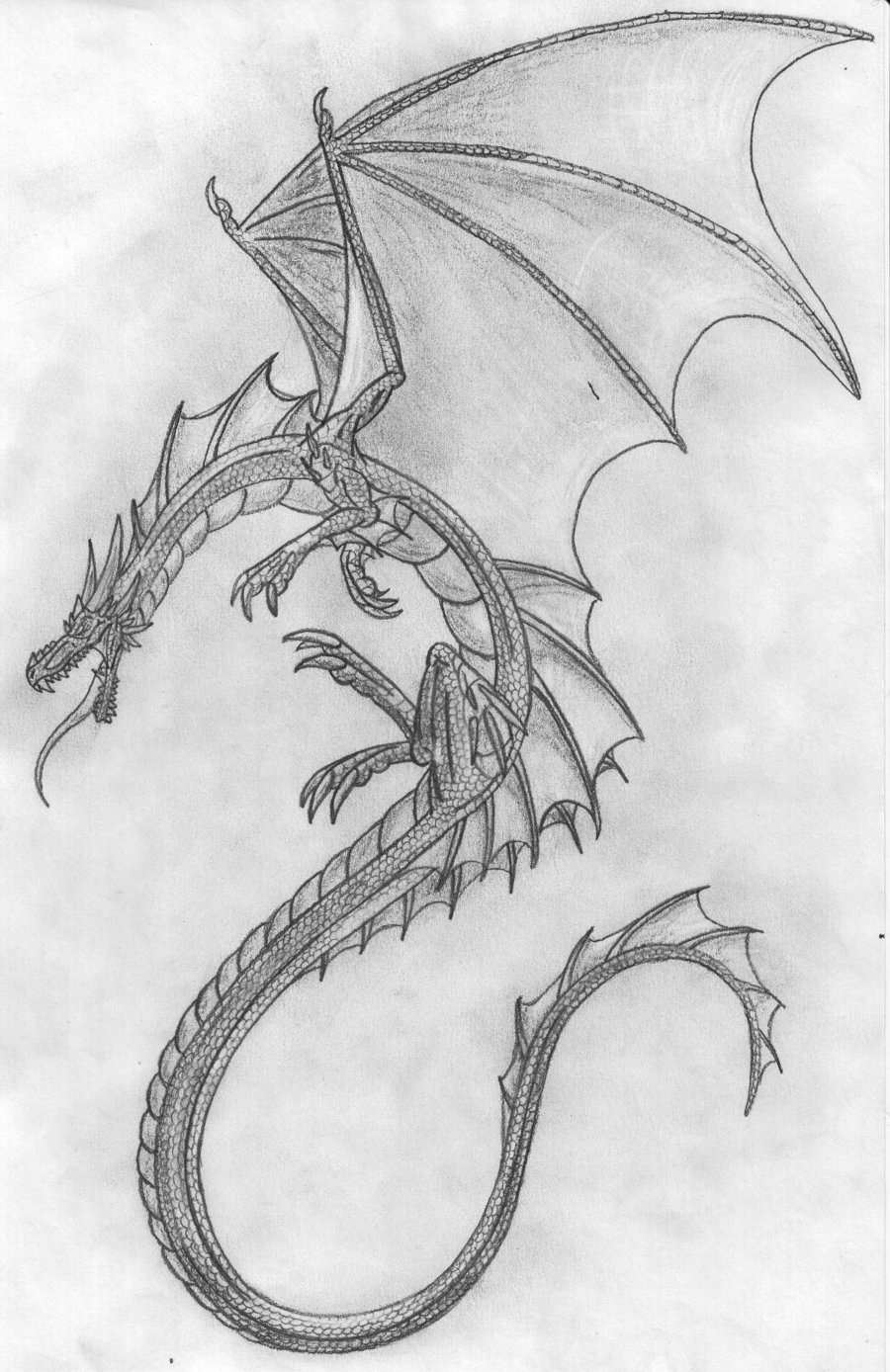 900x1388 Dragon Pencil Sketch Images Pencil Drawings Pencil Dragonscatha - Dragon Sketch Art