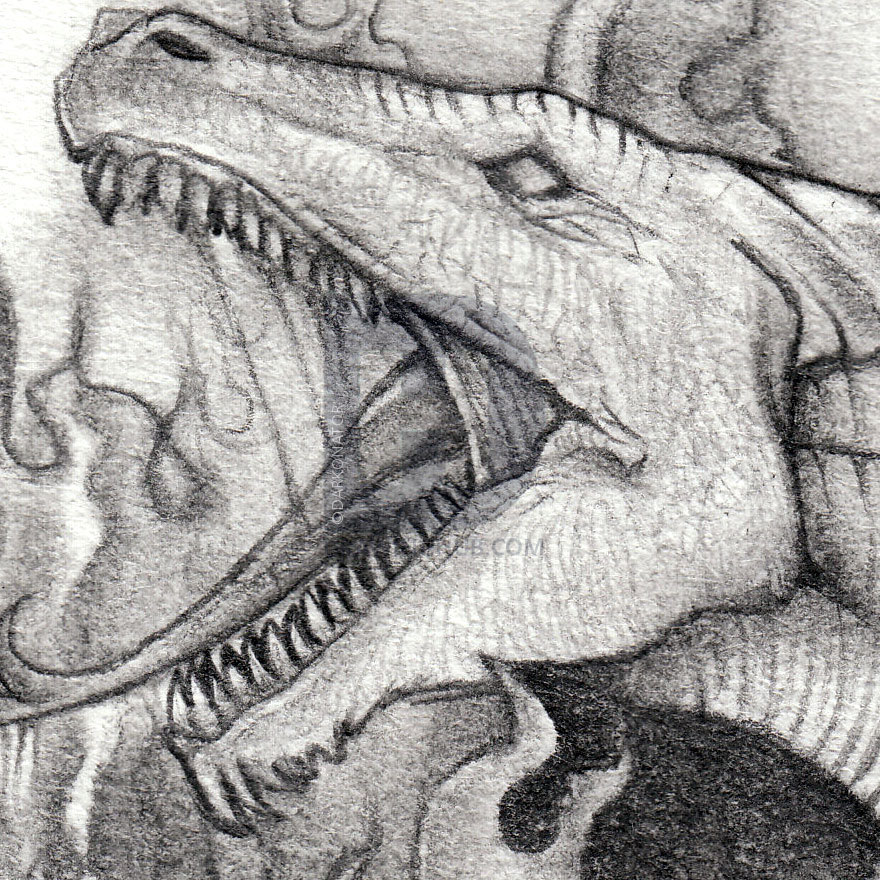 880x880 How To Sketch A Dragon, Step By Step, Drawing Guide, By Darkonator - Dragon Sketch Drawing