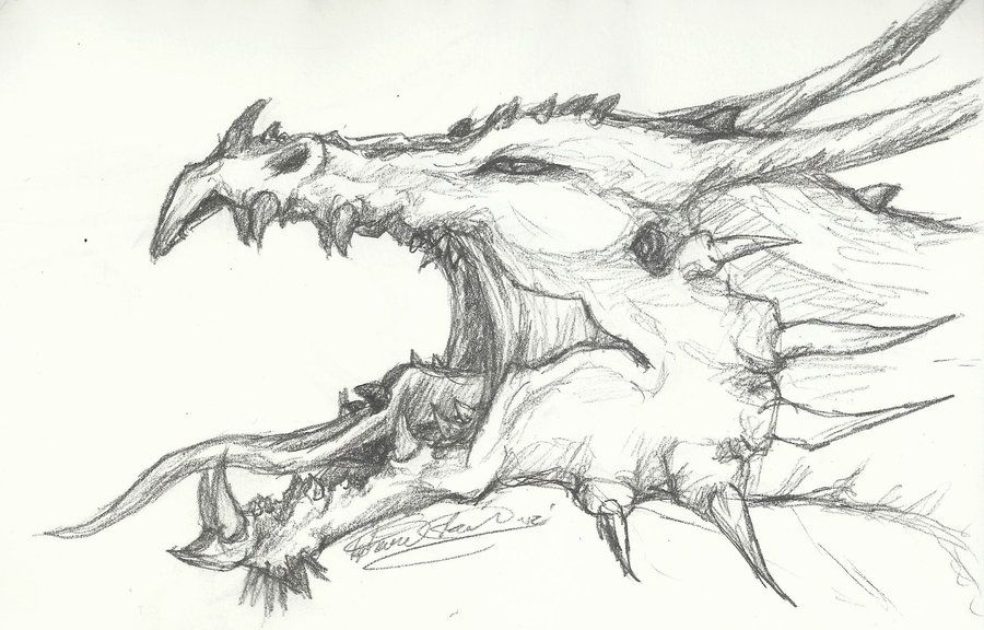 900x576 Roaring Dragon Head Sketch By ~thousandwordstosay - Dragon Sketch Drawing