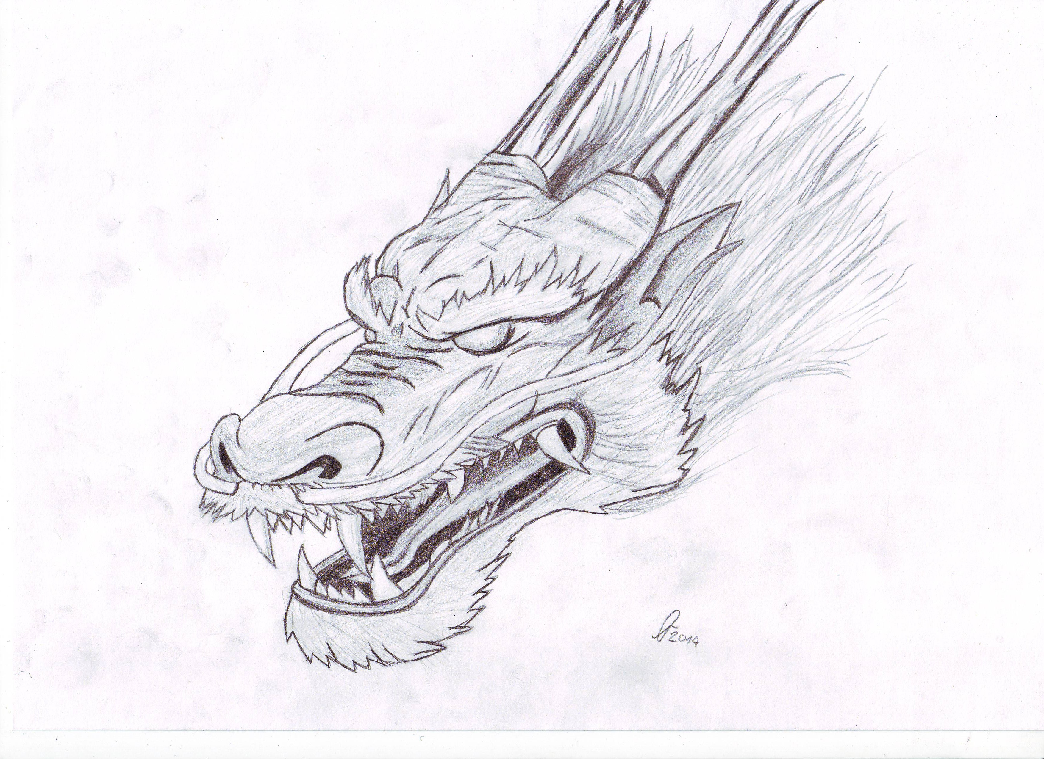 3508x2552 Drawn Chinese Dragon Sketch - Dragon Sketch Easy