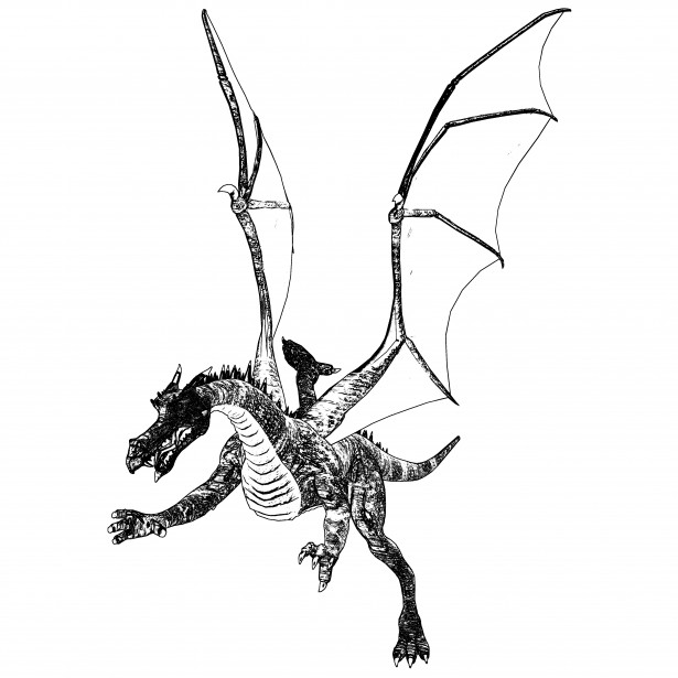 615x615 Dragon Sketch Free Stock Photo - Dragon Sketch Images