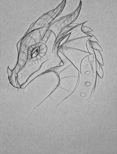 236x310 Realistic Dragon Drawings - Dragon Sketch Images