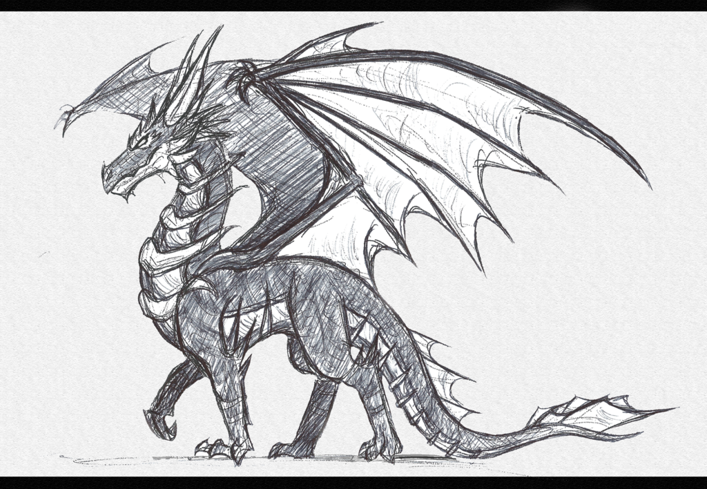1024x708 Dragon Sketch By Dragonmaster137 - Dragon Sketch Pictures