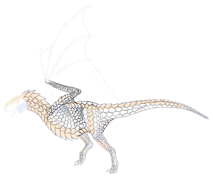 688x576 How To Draw Dragons Step By Step With Monika Zagrobelna - Dragon Sketch Pictures