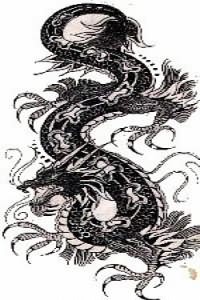 200x300 Dragon Tattoo Sketch - Dragon Sketch Tattoo