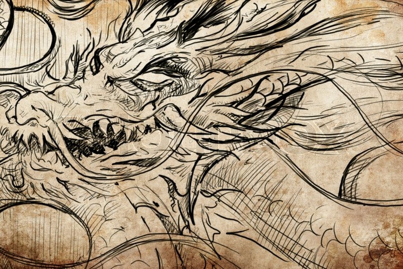 800x533 Dragon Tattoo Sketch, Handmade Design Over Vintage Paper Stock - Dragon Sketch Tattoo
