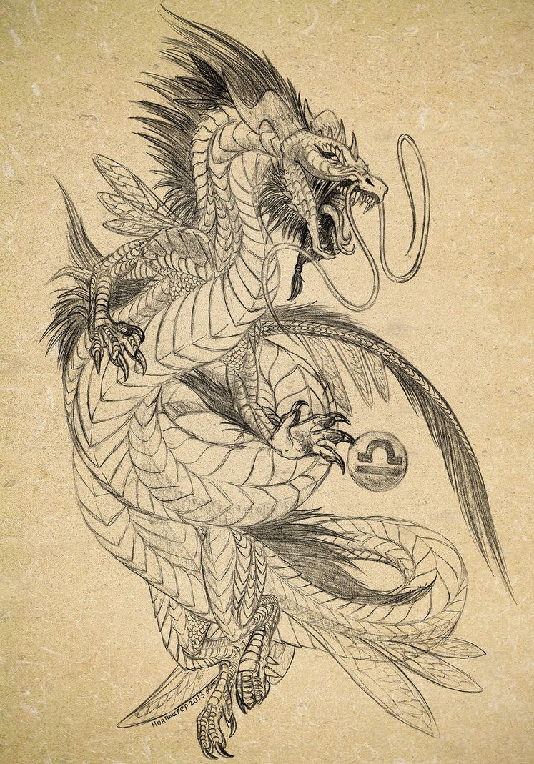 747x1069 Sketch Of Dragon Tattoo By Archspirigvit Dragons - Dragon Sketch Tattoo
