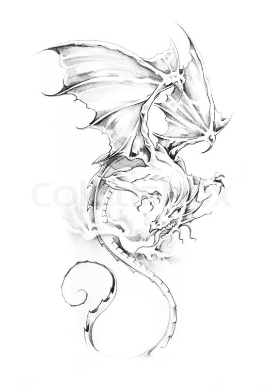 557x800 Sketch Of Tattoo Art, Dragon Stock Photo Colourbox - Dragon Sketch Tattoo