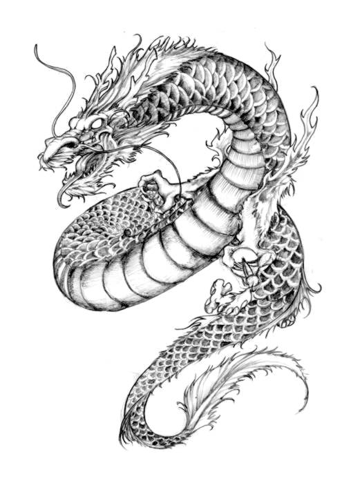 Dragon Sketch Tattoo at PaintingValley.com | Explore collection of ...