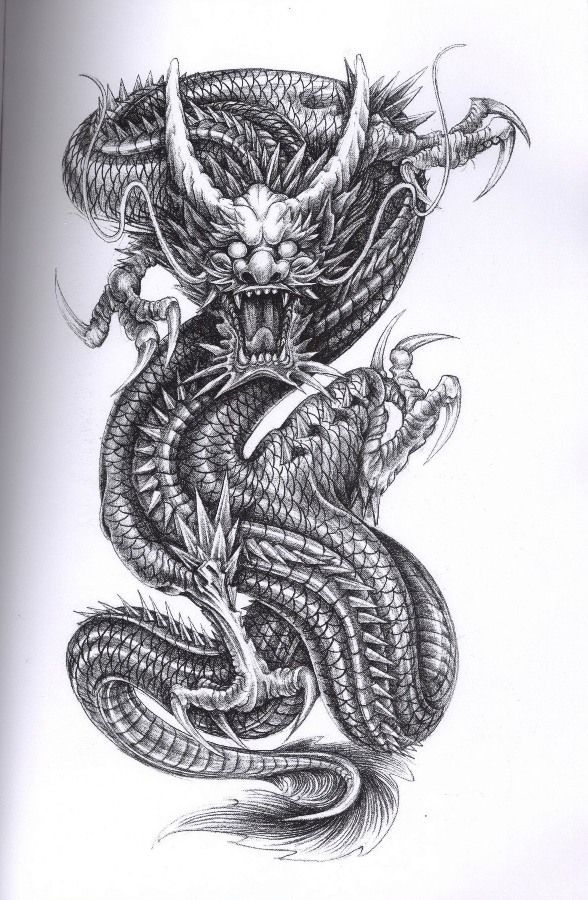 588x900 Download Free Dragon Tattoo Dragons Drawing Dragon Sketches - Dragon Sketch Tattoo