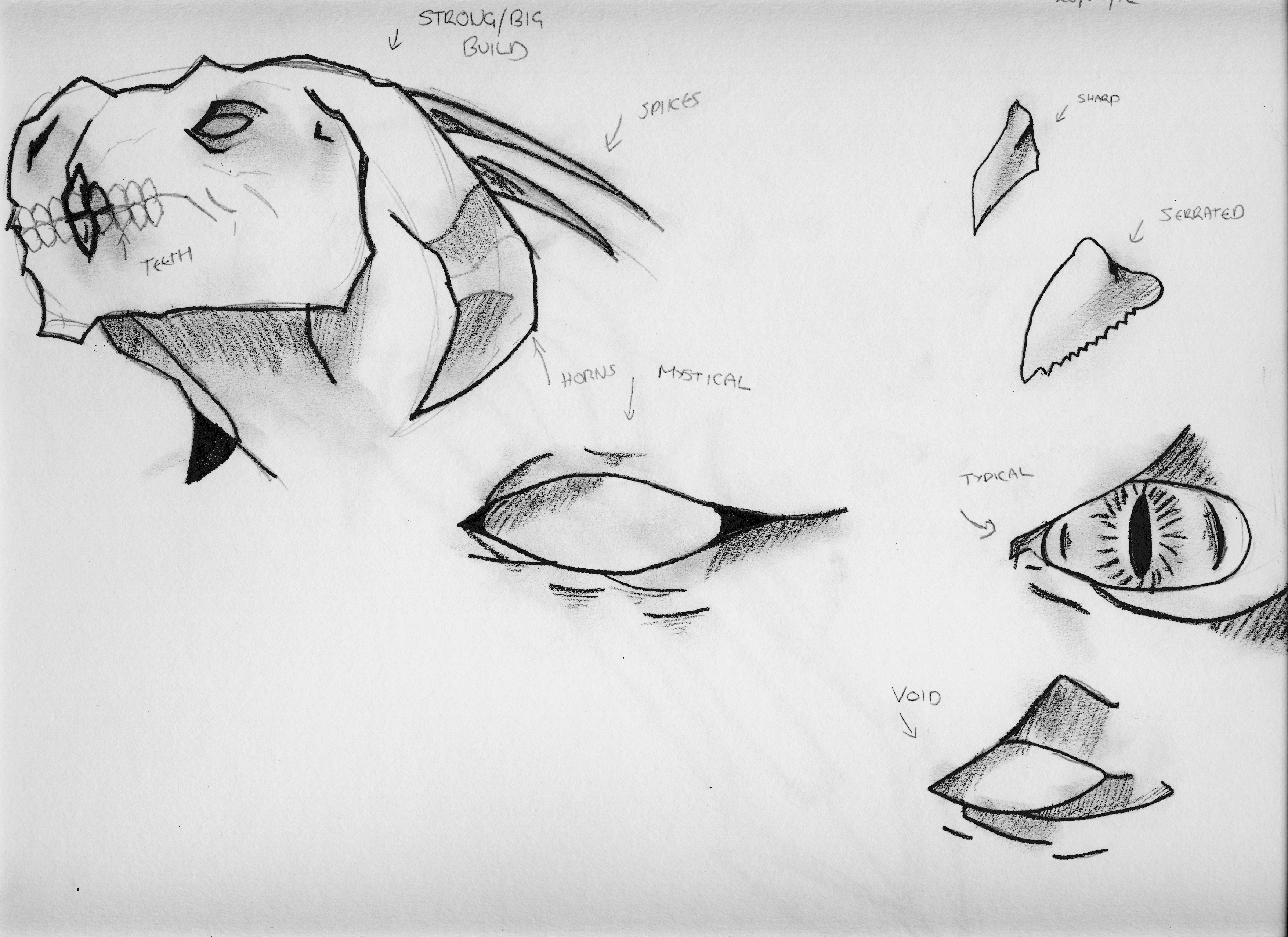 3508x2552 Dragon Sketches Peter Hamblin - Dragon Sketch Tutorial