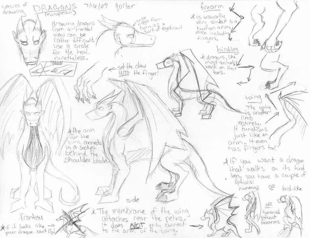 1024x789 Dragon Tutorial By Qorter - Dragon Sketch Tutorial
