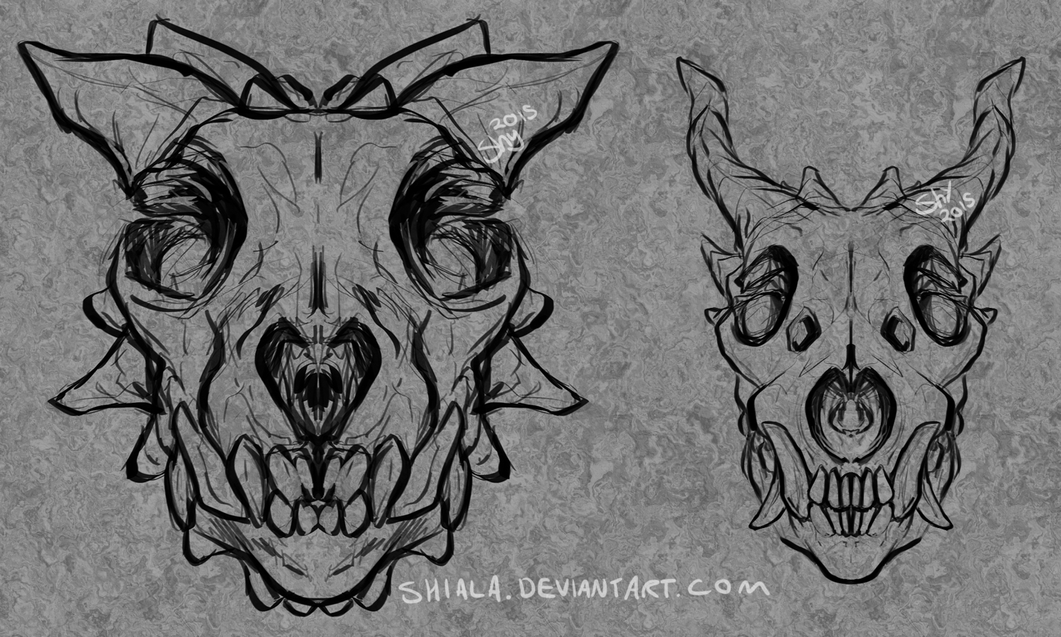 1497x900 Dragon Skulls Weasyl - Dragon Skull Sketch